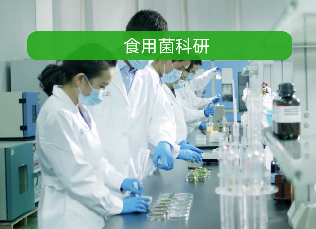 ʳ�þ�����